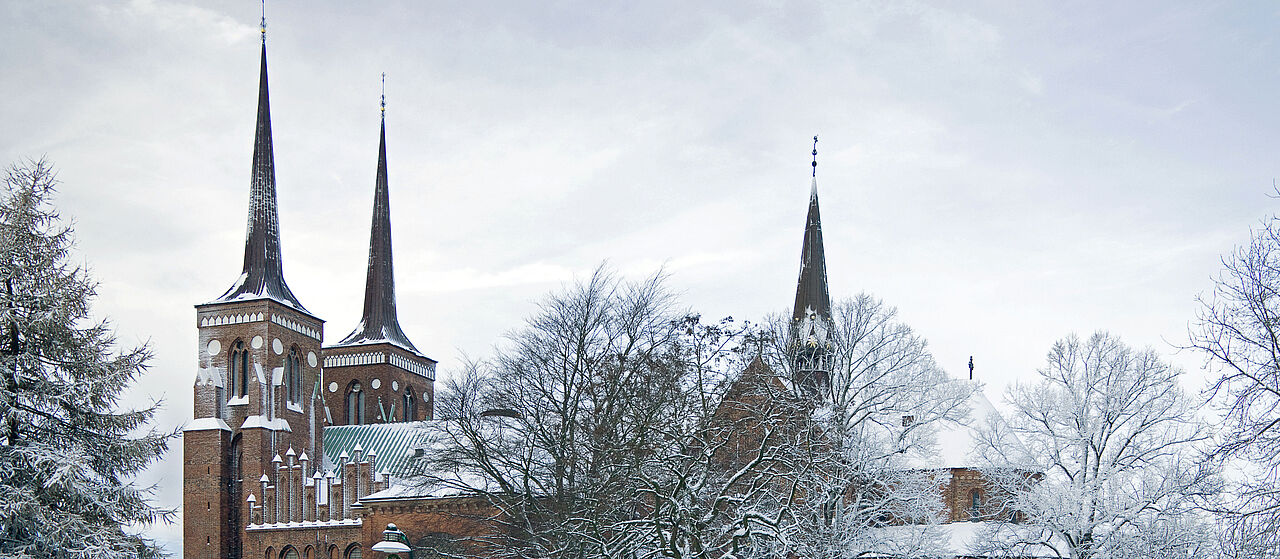 Billede af Roskilde Domkirke